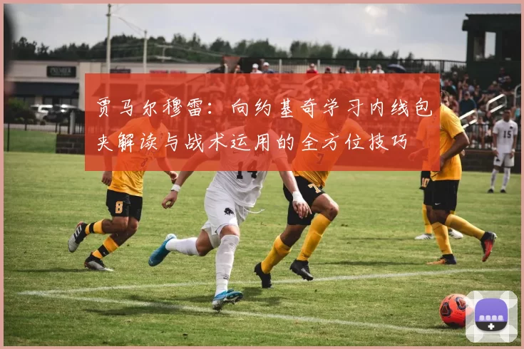 贾马尔穆雷：向约基奇学习内线包夹解读与战术运用的全方位技巧